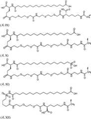 Figure BPA0000281274980000301