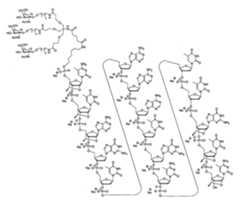 Figure 108131991-A0202-12-0026-8