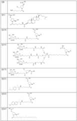 Figure imgf000014_0001