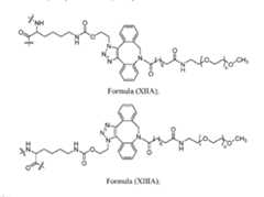 Figure imgf000091_0001