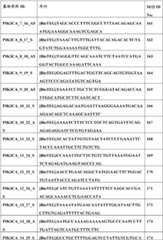 Figure BDA0000059233380000651