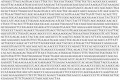 Figure PCTCN2022073808-appb-000105