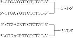 Figure US07276489-20071002-C00078