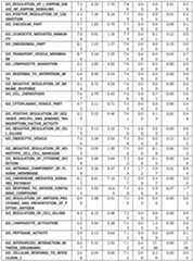 Figure imgf000258_0001