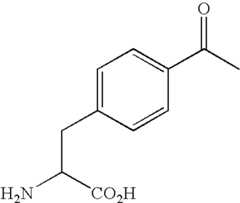 Figure US09175083-20151103-C00024