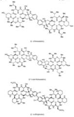 Figure imgf000294_0001