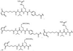 Figure imgf000194_0003
