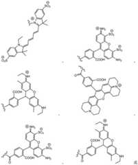 Figure BDA0003670511740002062