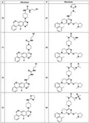 Figure imgf000045_0001