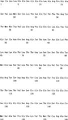 Figure C200480014513D00621