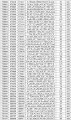 Figure BDA0003282506760001261