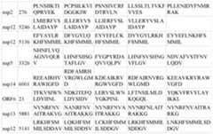 Figure imgf000057_0001