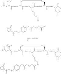 Figure US08293714-20121023-C00025