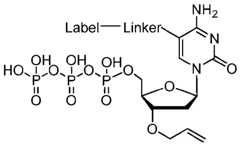 Figure imgf000081_0002
