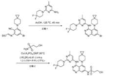 Figure 0007640521000063