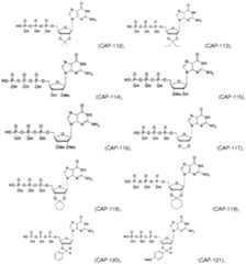 Figure imgf000033_0001