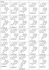 Figure BDA0001937647270001741