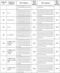 Figure imgf000299_0001