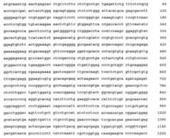 Figure 108128641-A0202-12-0268-924