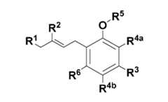 Figure imgf000081_0001