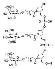 Figure 2023012548000333