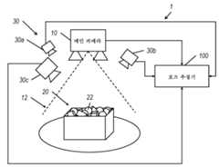 Figure P1020227029641