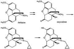 Figure imgf000005_0001