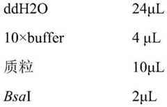 Figure BDA0001211358300000051