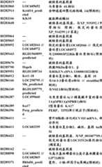 Figure BDA0000057170160000511