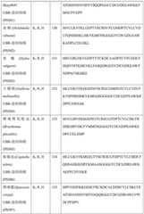 Figure BDA0004113681710000581