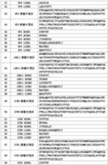 Figure PCTCN2018111201-appb-000005