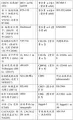 Figure BDA0002951888040000311