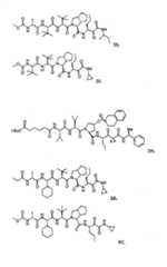 Figure G2009101493490D00761