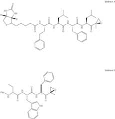 Figure US08735441-20140527-C00042