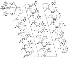 Figure GDA0003564942560000151