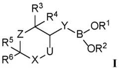 Figure imgf000007_0001