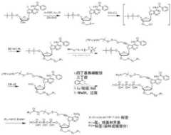 Figure BDA0003670511740004921