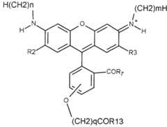 Figure imgf000017_0001