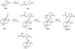 Figure imgf000085_0001