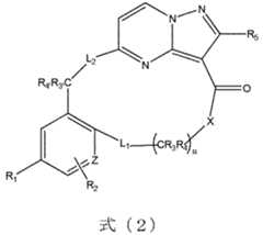 Figure 0007128345000006