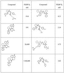 Figure imgf000057_0001