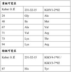 Figure BDA0003866346460002741