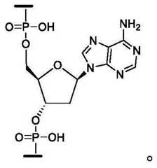 Figure BDA0003357312860000142