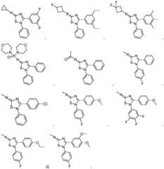 Figure FDA0004216827470000061