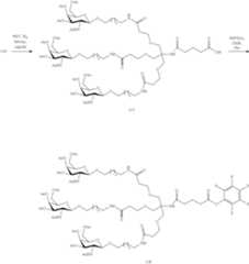 Figure US10793862-20201006-C00200