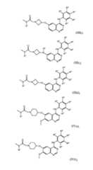 Figure imgf000017_0001