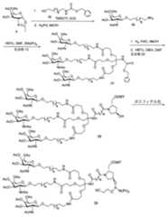 Figure 0007429103000231