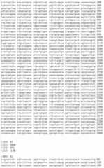 Figure IDA00002091897100551