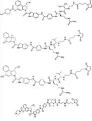 Figure G2007800504656D01301