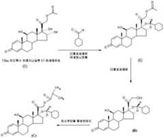 Figure 112009023285935-PCT00012